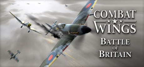 Combat Wings Combat Wings