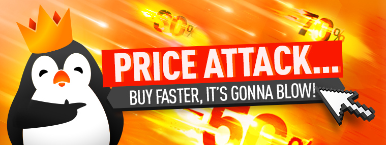 Price Attack